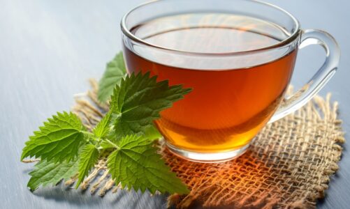 Długowieczność w dobrej kondycji psychicznej dzięki zielonej herbacie – wyniki badań japońskich naukowców