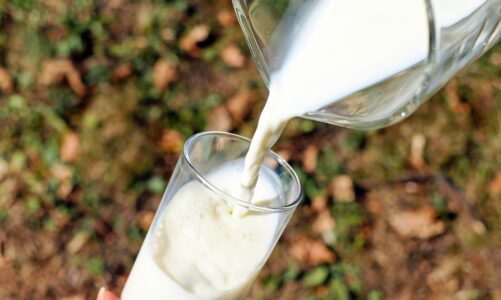 Wprowadzenie do mleka modyfikowanego: skład, zastosowania i wybór
