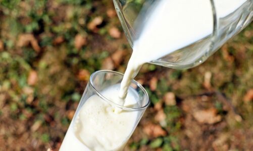 Analiza mleka sojowego: korzyści zdrowotne, wartość kaloryczna i sposób przygotowania