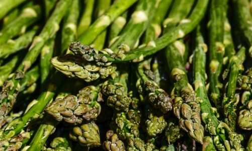 Szparagi – zielone i białe: korzyści dla zdrowia, kaloryczność, wartość odżywcza i przepisy kulinarne
