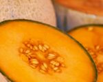 Właściwości i korzyści ze spożywania melona: od kalorii po przepisy